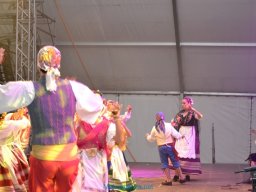 Festival de Folkore en Mula